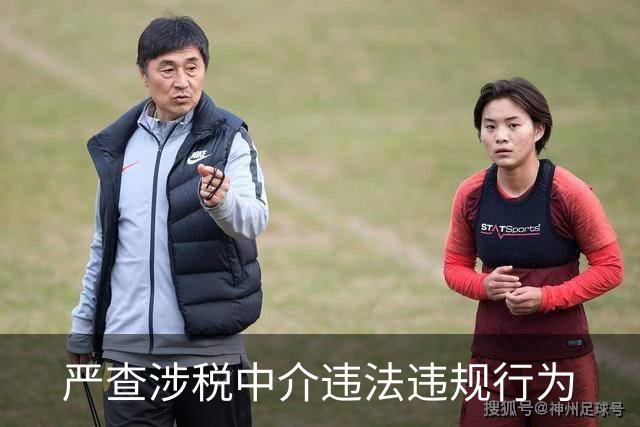 严查涉税中介违法违规行为