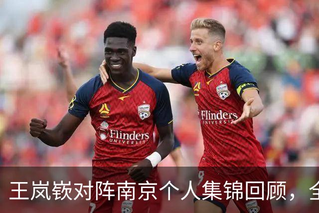 王岚嵚对阵南京个人集锦回顾，全场得到27分6篮板2助攻