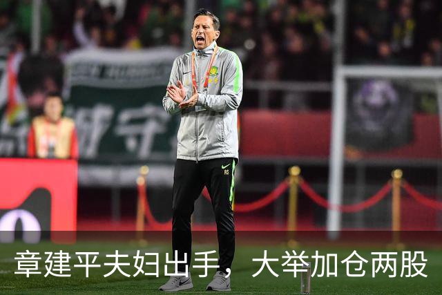 章建平夫妇出手，大举加仓两股