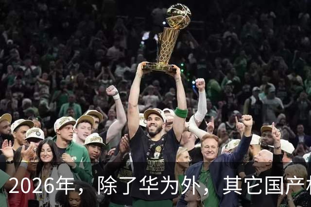 2026年，除了华为外，其它国产机都集体“凉凉”？