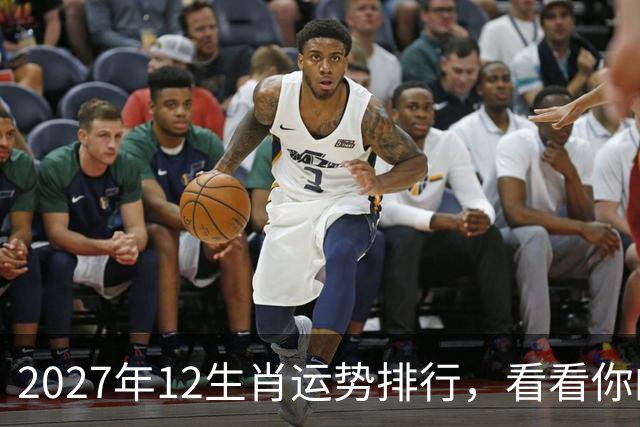 2027年12生肖运势排行，看看你的排名第几，前三个将彻底翻身