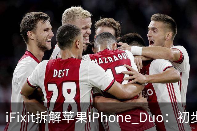 iFixit拆解苹果iPhone Duo：初步锁定折叠屏故障潜在诱因